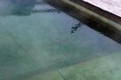 IMG-20201203-WA0018